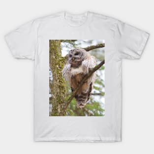 Cool Owl - Barred Owl T-Shirt